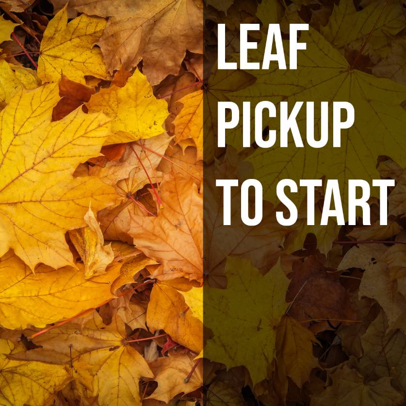 Leaf Pickup to start - Copy